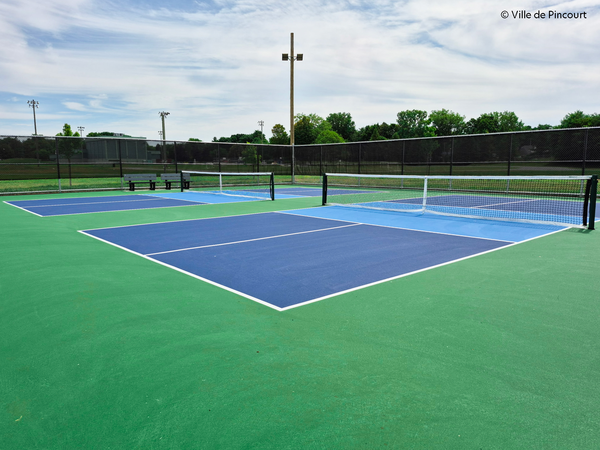 new-pickleball-3.jpg (1.84 MB)